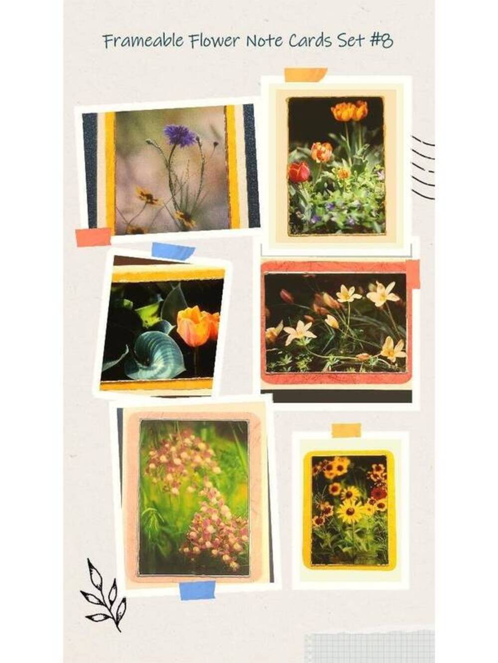 Frameable Flower Photo Note Cards: Set of 6 with Envelopes